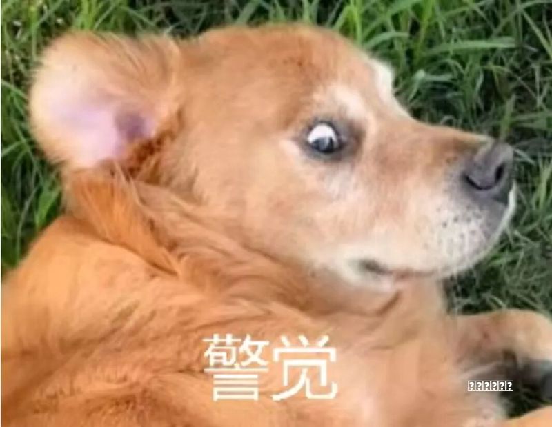 Windows 10如何进入安全模式